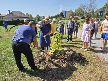 Praznik Krištanci (3)